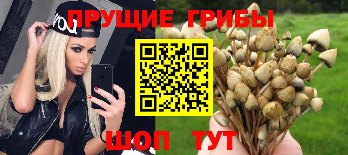 Псилоцибиновые грибы прущие грибы  Вход с VPN  Чехов 